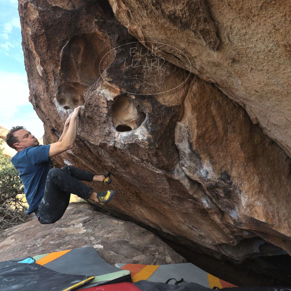 Filename: SRM_20251128_1405150.jpg
Aperture: f/4.0
Shutter Speed: 1/320
Body: Canon EOS R6
Lens: Canon EF 16-35mm f/2.8 L