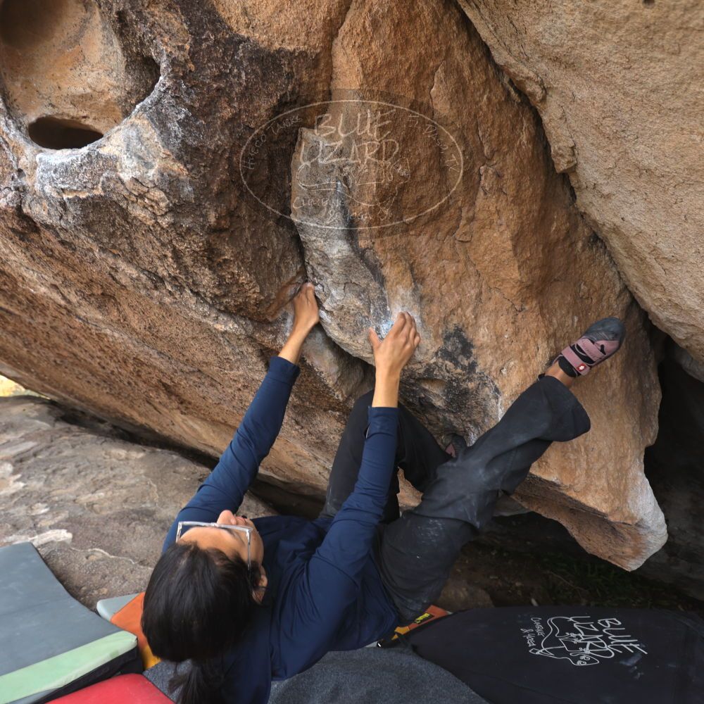 Filename: SRM_20251128_1408110.jpg
Aperture: f/4.0
Shutter Speed: 1/160
Body: Canon EOS R6
Lens: Canon EF 16-35mm f/2.8 L