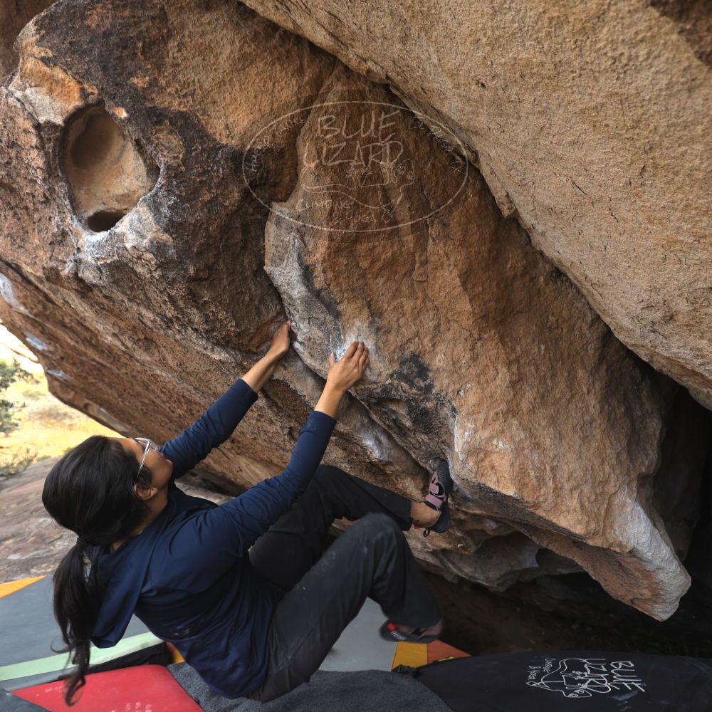 Filename: SRM_20251128_1409490.jpg
Aperture: f/4.0
Shutter Speed: 1/200
Body: Canon EOS R6
Lens: Canon EF 16-35mm f/2.8 L