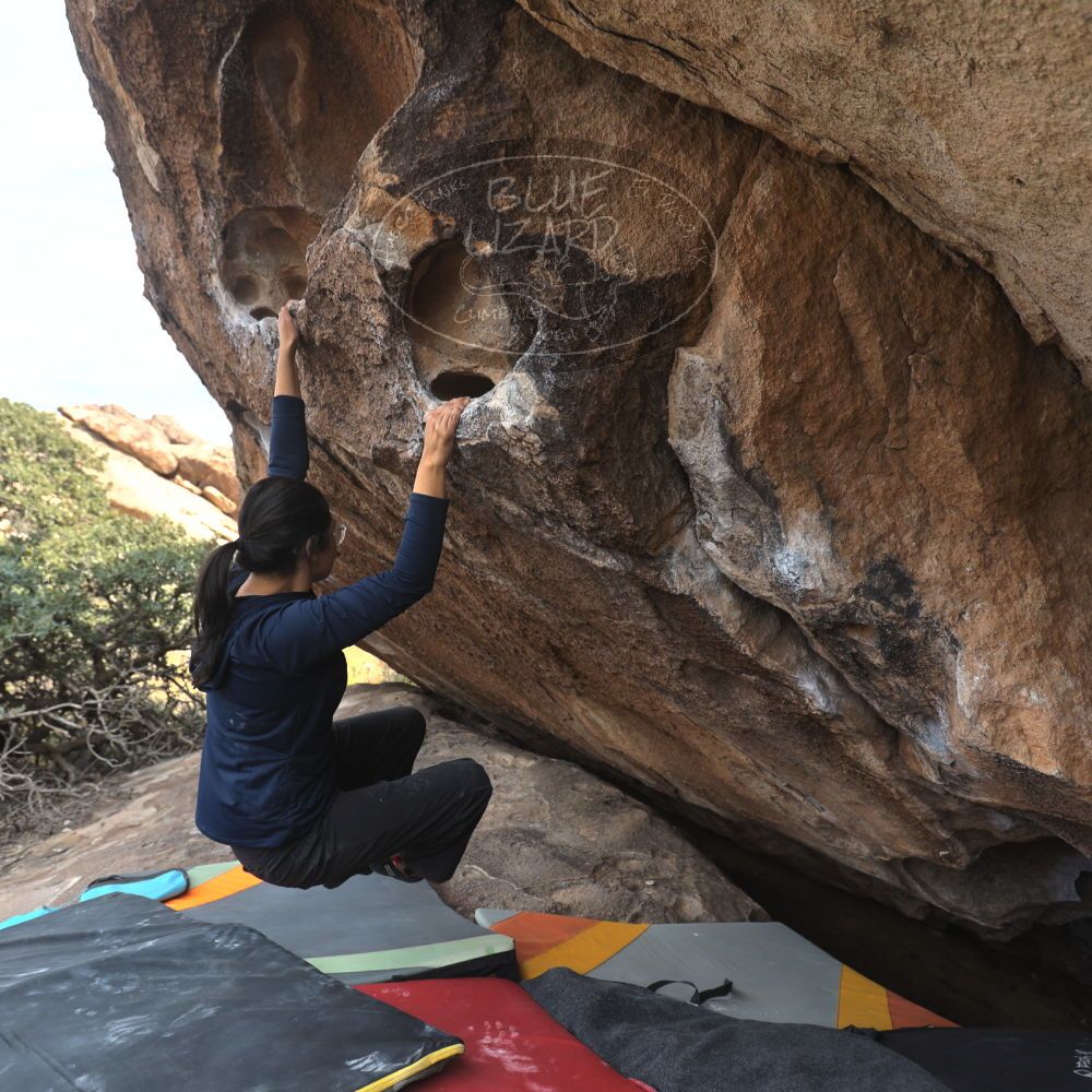 Filename: SRM_20251128_1410150.jpg
Aperture: f/4.0
Shutter Speed: 1/320
Body: Canon EOS R6
Lens: Canon EF 16-35mm f/2.8 L