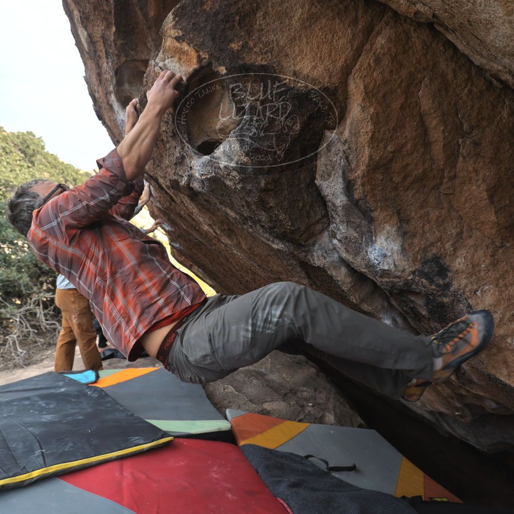 

Filename: SRM_20251128_1418260.jpg
Aperture: f/4.0
Shutter Speed: 1/320
Body: Canon EOS R6
Lens: Canon EF 16-35mm f/2.8 L