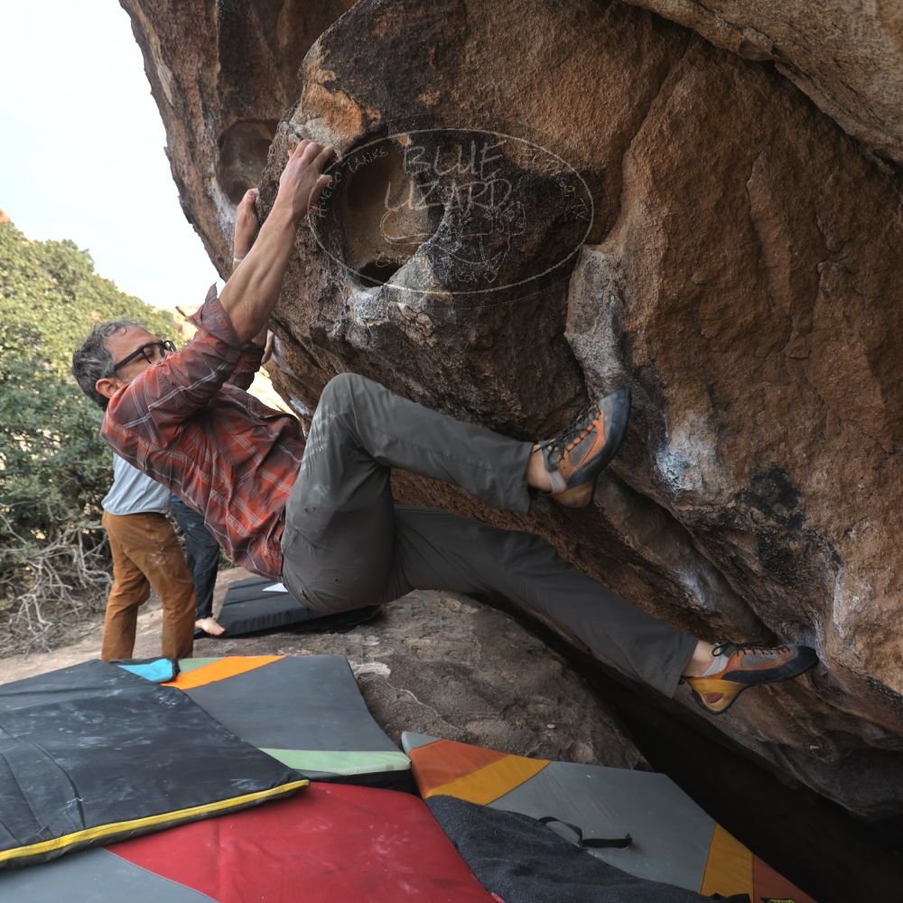 

Filename: SRM_20251128_1418270.jpg
Aperture: f/4.0
Shutter Speed: 1/320
Body: Canon EOS R6
Lens: Canon EF 16-35mm f/2.8 L