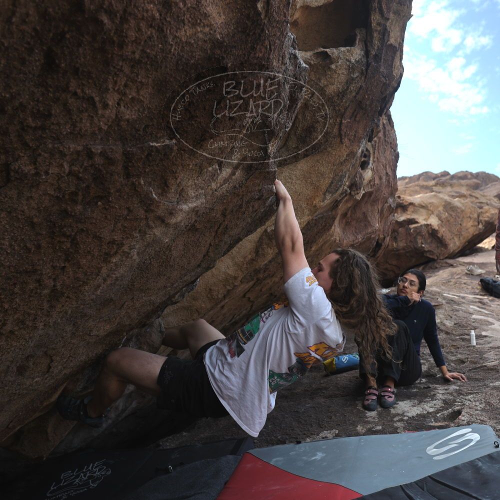 Filename: SRM_20251128_1426321.jpg
Aperture: f/4.0
Shutter Speed: 1/500
Body: Canon EOS R6
Lens: Canon EF 16-35mm f/2.8 L