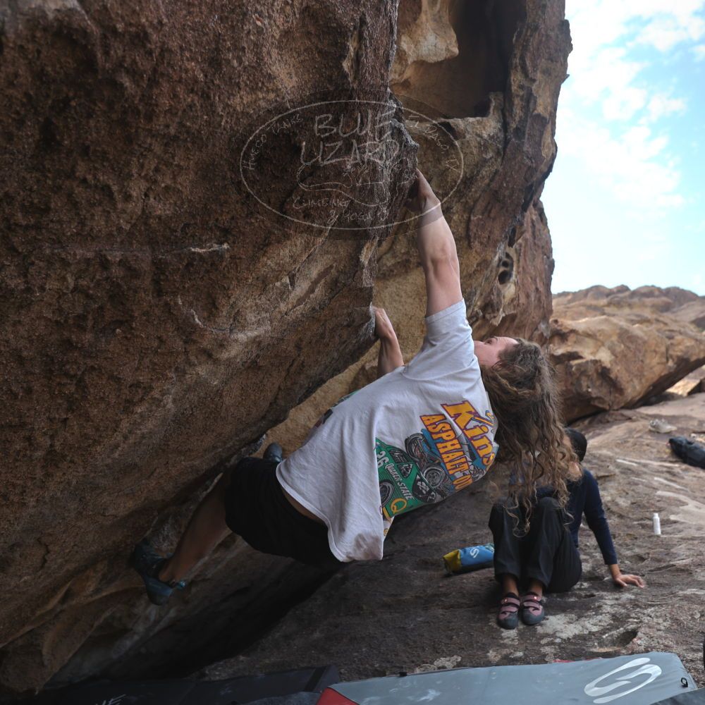 

Filename: SRM_20251128_1426350.jpg
Aperture: f/4.0
Shutter Speed: 1/400
Body: Canon EOS R6
Lens: Canon EF 16-35mm f/2.8 L