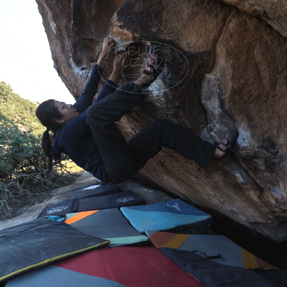 Filename: SRM_20251128_1436170.jpg
Aperture: f/4.0
Shutter Speed: 1/200
Body: Canon EOS R6
Lens: Canon EF 16-35mm f/2.8 L