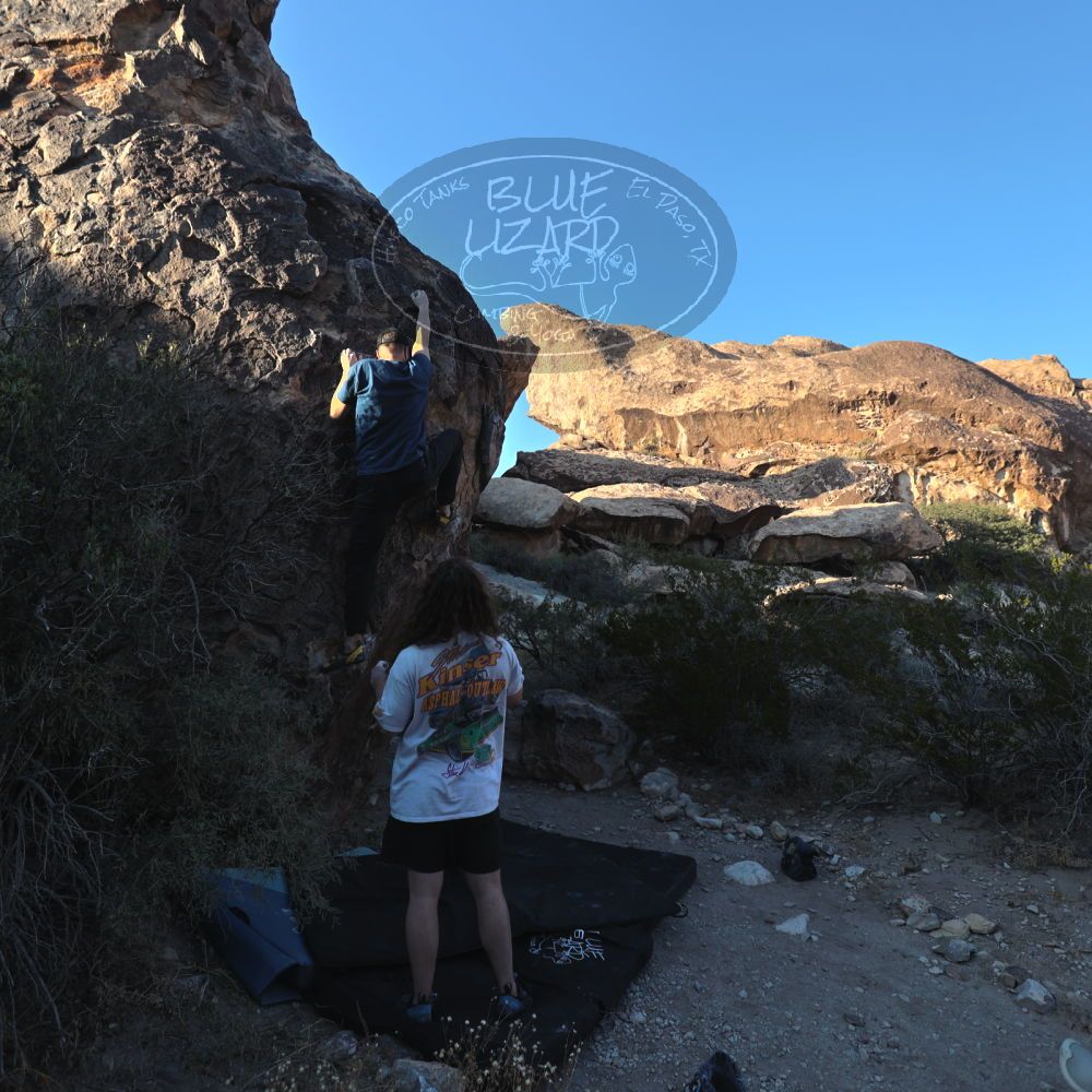 Filename: SRM_20251128_1546490.jpg
Aperture: f/4.0
Shutter Speed: 1/500
Body: Canon EOS R6
Lens: Canon EF 16-35mm f/2.8 L