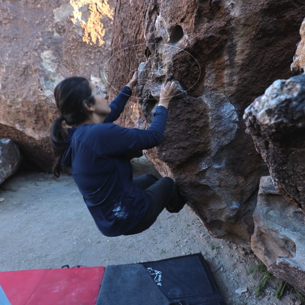 Filename: SRM_20251128_1549570.jpg
Aperture: f/4.0
Shutter Speed: 1/60
Body: Canon EOS R6
Lens: Canon EF 16-35mm f/2.8 L