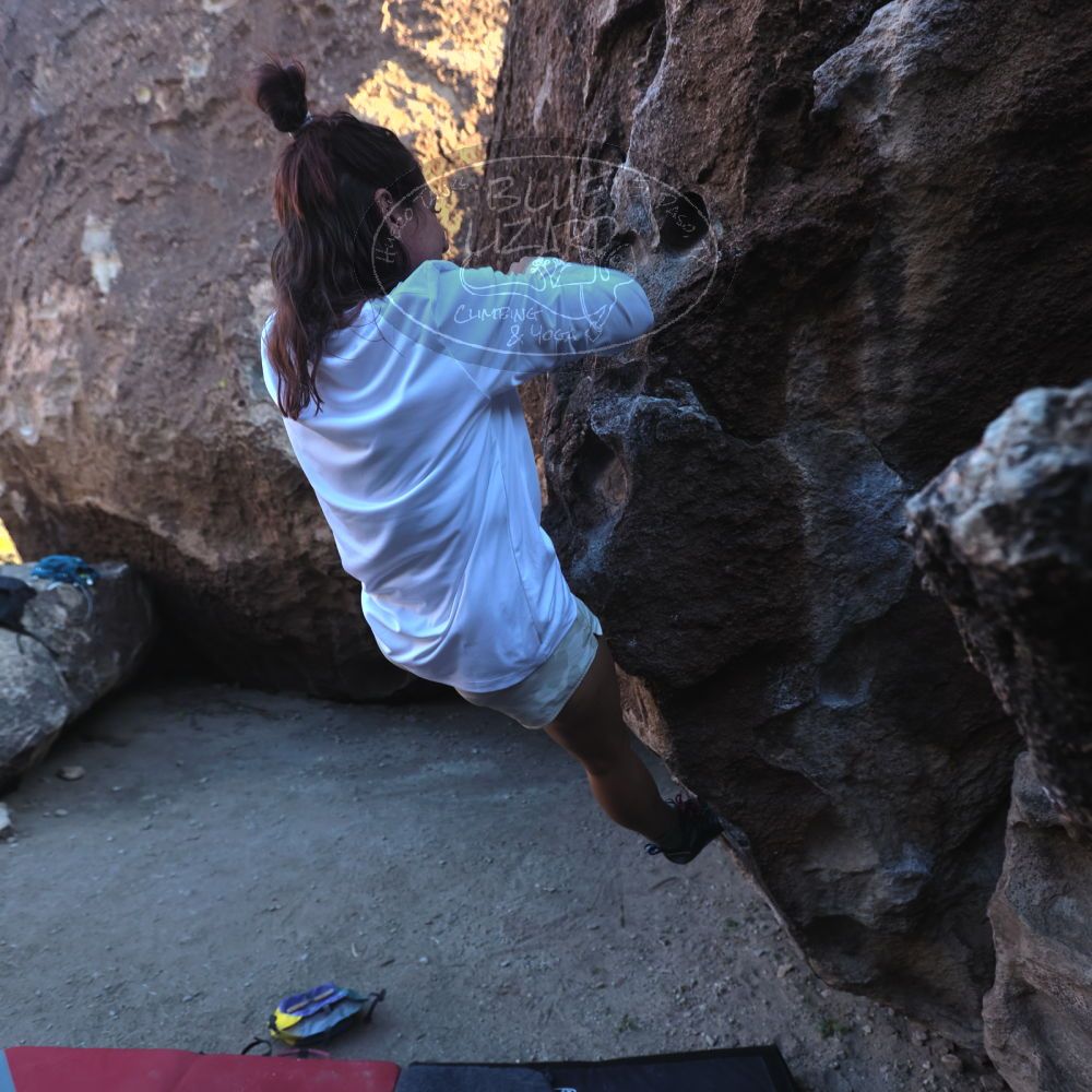 

Filename: SRM_20251128_1552140.jpg
Aperture: f/4.0
Shutter Speed: 1/320
Body: Canon EOS R6
Lens: Canon EF 16-35mm f/2.8 L