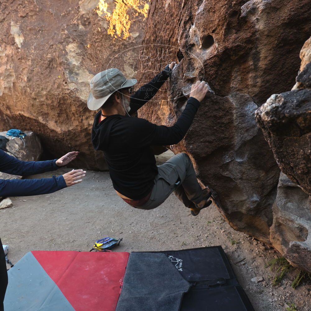 Filename: SRM_20251128_1557320.jpg
Aperture: f/4.0
Shutter Speed: 1/320
Body: Canon EOS R6
Lens: Canon EF 16-35mm f/2.8 L