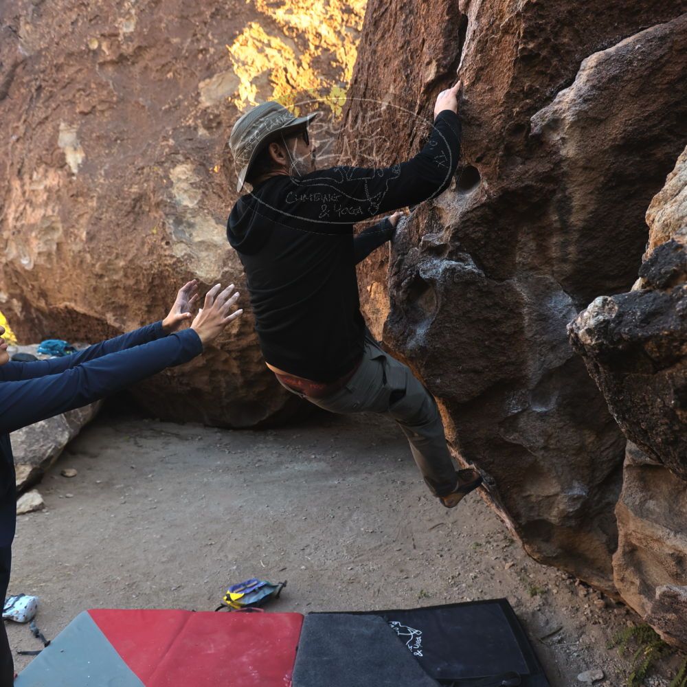 

Filename: SRM_20251128_1557330.jpg
Aperture: f/4.0
Shutter Speed: 1/320
Body: Canon EOS R6
Lens: Canon EF 16-35mm f/2.8 L