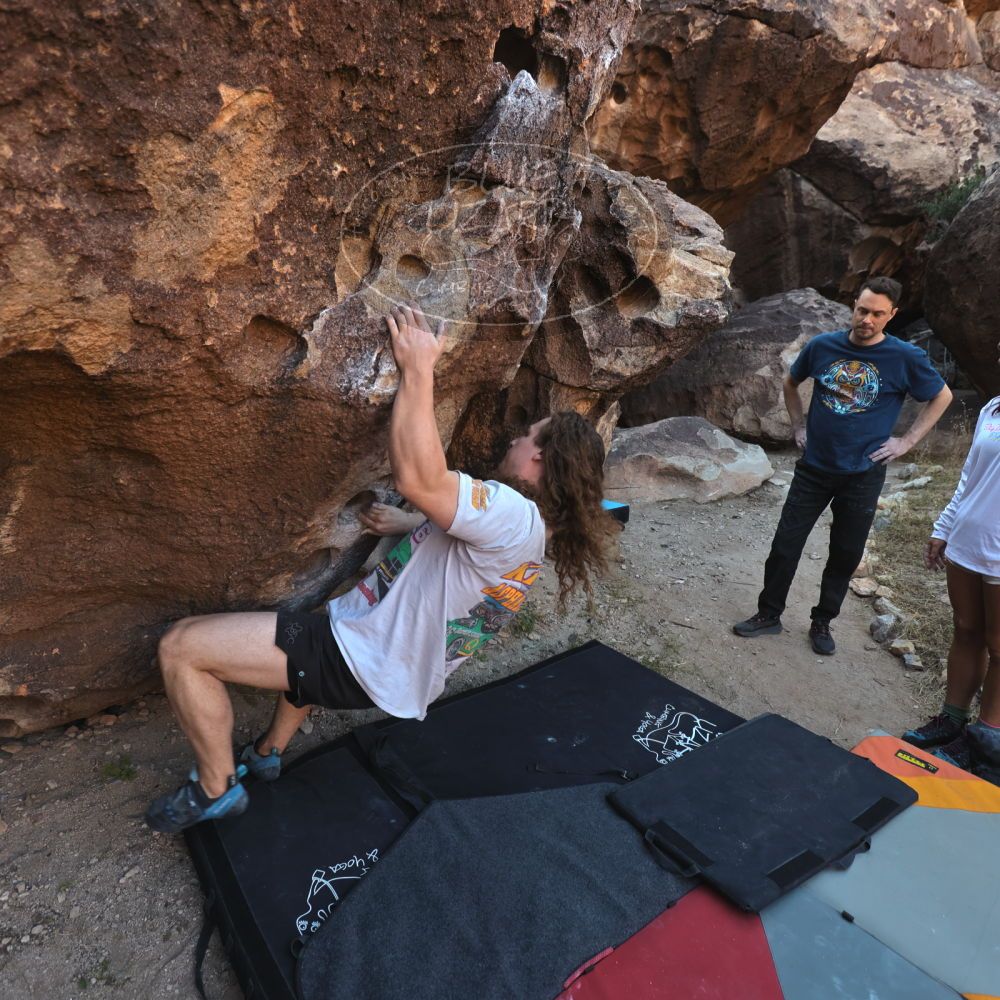 Filename: SRM_20251128_1601370.jpg
Aperture: f/4.0
Shutter Speed: 1/320
Body: Canon EOS R6
Lens: Canon EF 16-35mm f/2.8 L