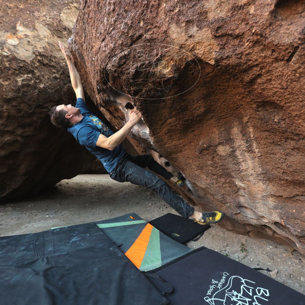 

Filename: SRM_20251128_1640580.jpg
Aperture: f/4.0
Shutter Speed: 1/250
Body: Canon EOS R6
Lens: Canon EF 16-35mm f/2.8 L