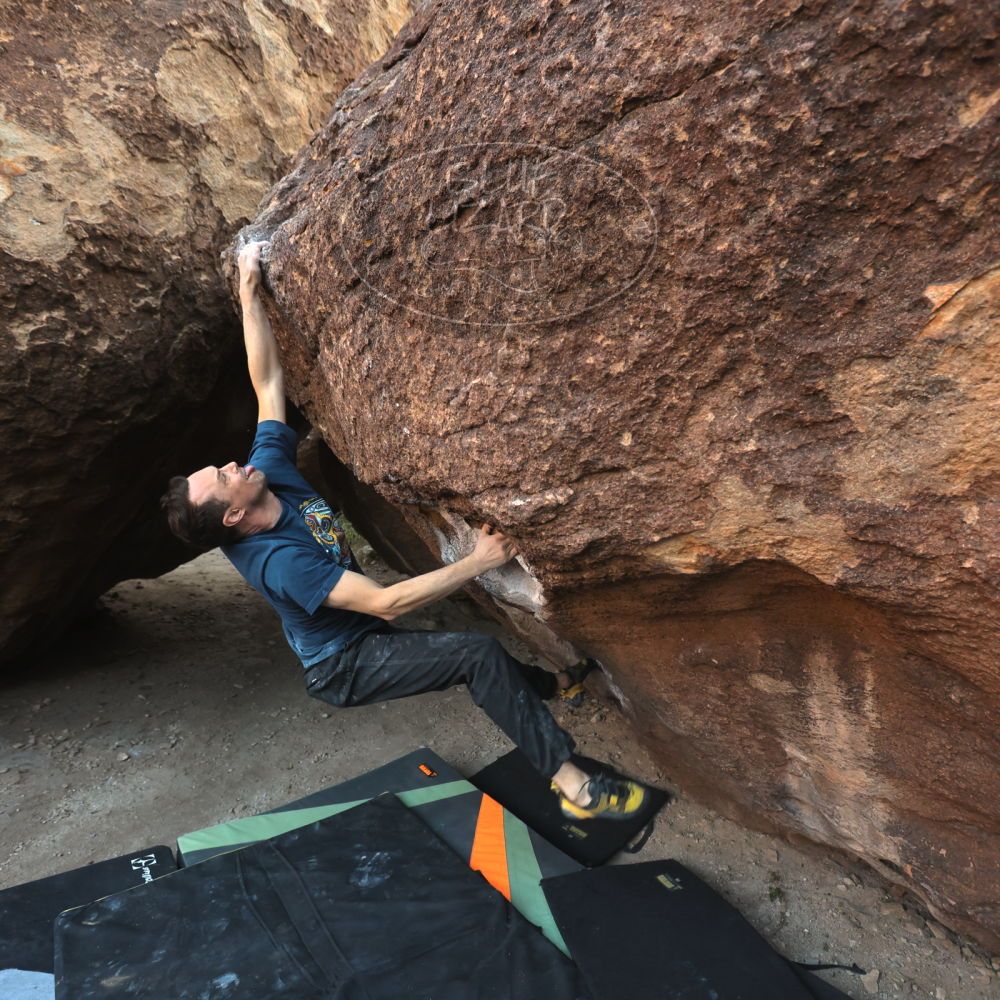 Filename: SRM_20251128_1646330.jpg
Aperture: f/4.0
Shutter Speed: 1/250
Body: Canon EOS R6
Lens: Canon EF 16-35mm f/2.8 L