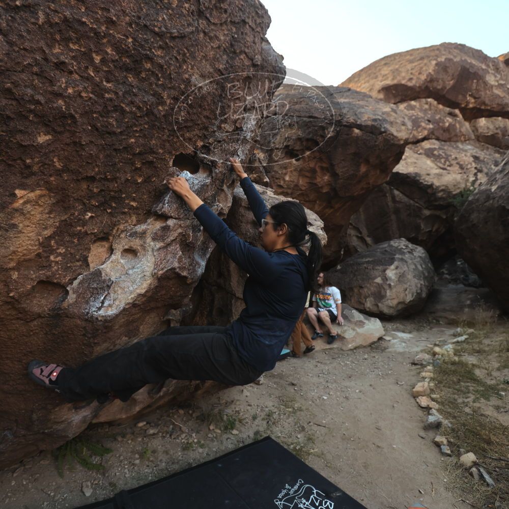 Filename: SRM_20251128_1649450.jpg
Aperture: f/4.0
Shutter Speed: 1/250
Body: Canon EOS R6
Lens: Canon EF 16-35mm f/2.8 L