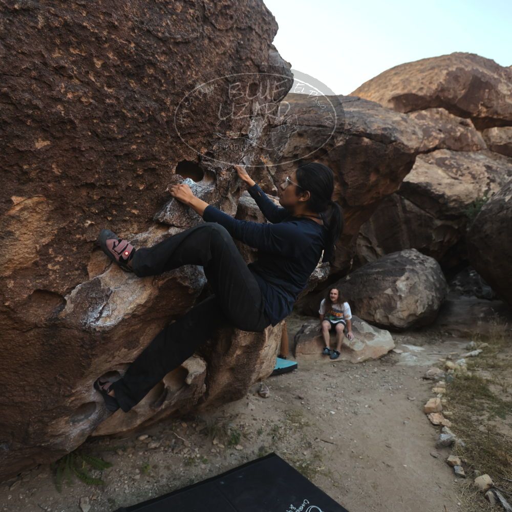 Filename: SRM_20251128_1649460.jpg
Aperture: f/4.0
Shutter Speed: 1/250
Body: Canon EOS R6
Lens: Canon EF 16-35mm f/2.8 L