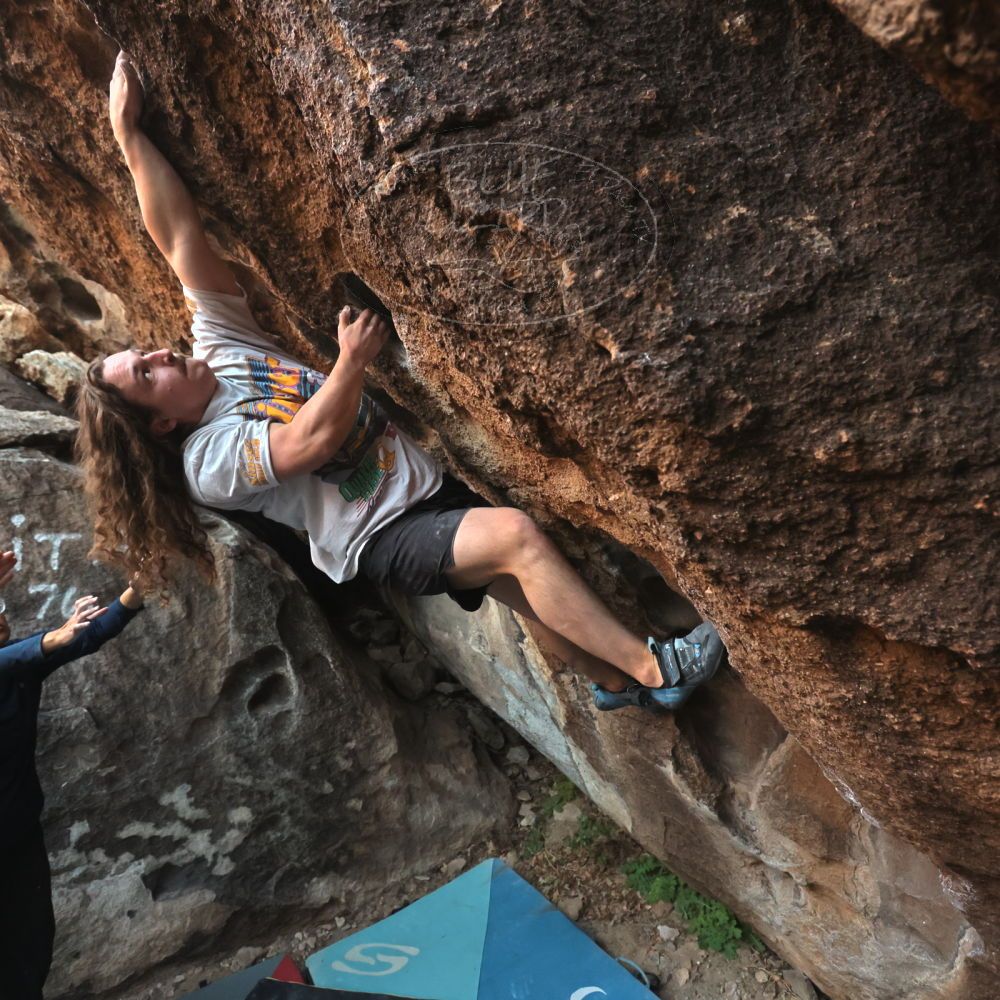 Filename: SRM_20251128_1655120.jpg
Aperture: f/4.0
Shutter Speed: 1/320
Body: Canon EOS R6
Lens: Canon EF 16-35mm f/2.8 L