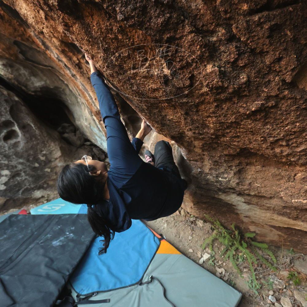 Filename: SRM_20251128_1656100.jpg
Aperture: f/4.0
Shutter Speed: 1/320
Body: Canon EOS R6
Lens: Canon EF 16-35mm f/2.8 L