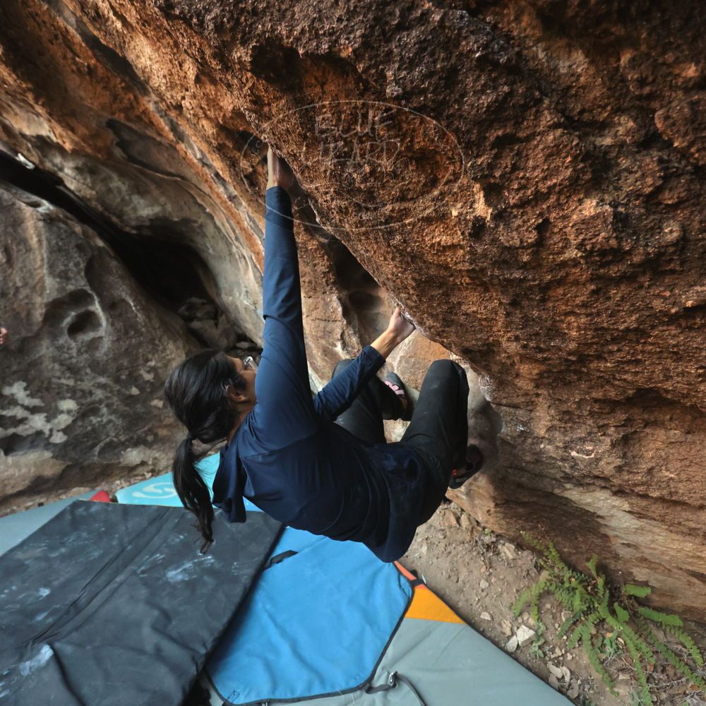 

Filename: SRM_20251128_1656110.jpg
Aperture: f/4.0
Shutter Speed: 1/320
Body: Canon EOS R6
Lens: Canon EF 16-35mm f/2.8 L