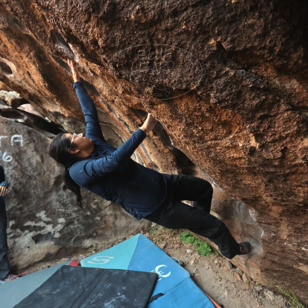 

Filename: SRM_20251128_1656190.jpg
Aperture: f/4.0
Shutter Speed: 1/320
Body: Canon EOS R6
Lens: Canon EF 16-35mm f/2.8 L