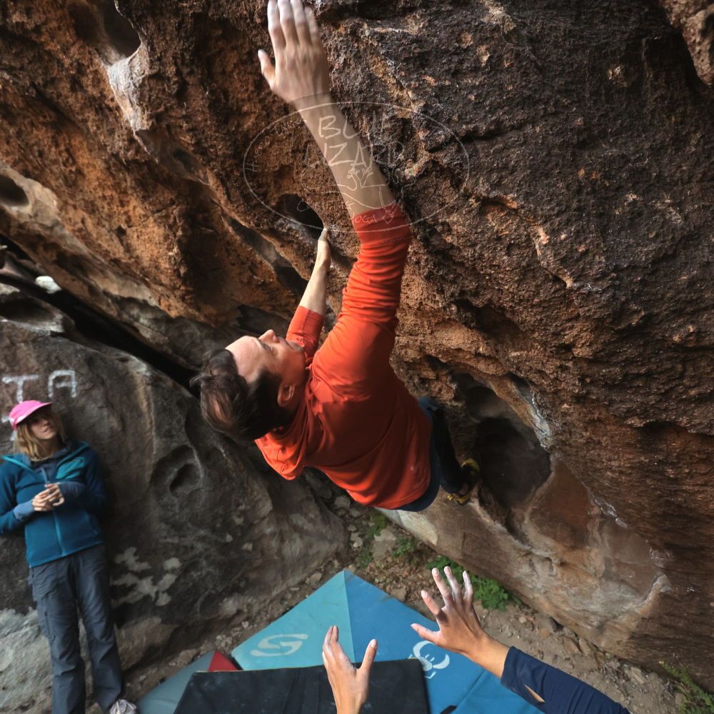 Filename: SRM_20251128_1659450.jpg
Aperture: f/4.0
Shutter Speed: 1/320
Body: Canon EOS R6
Lens: Canon EF 16-35mm f/2.8 L