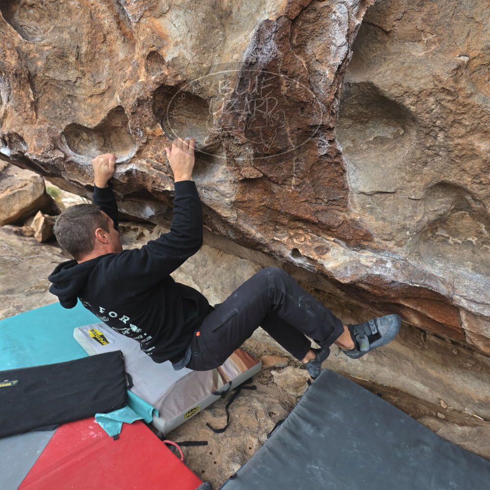 

Filename: SRM_20260101_1103530.jpg
Aperture: f/5.6
Shutter Speed: 1/500
Body: Canon EOS R6
Lens: Canon EF 16-35mm f/2.8 L