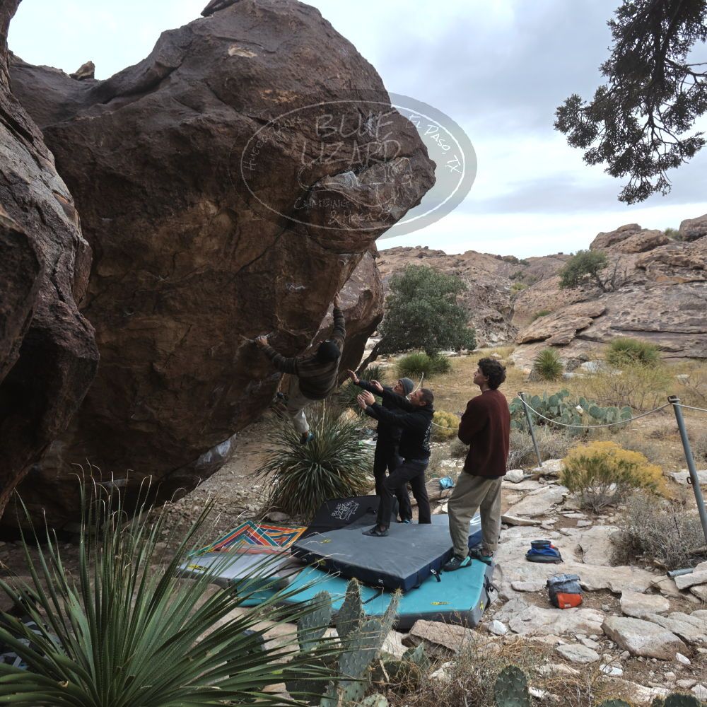 

Filename: SRM_20260101_1123460.jpg
Aperture: f/5.6
Shutter Speed: 1/500
Body: Canon EOS R6
Lens: Canon EF 16-35mm f/2.8 L