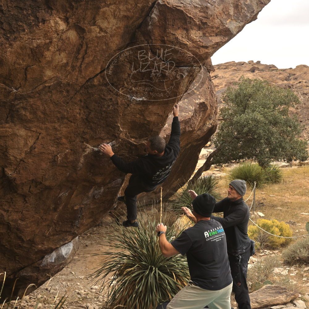 

Filename: SRM_20260101_1127171.jpg
Aperture: f/5.6
Shutter Speed: 1/500
Body: Canon EOS R6
Lens: Canon EF 16-35mm f/2.8 L