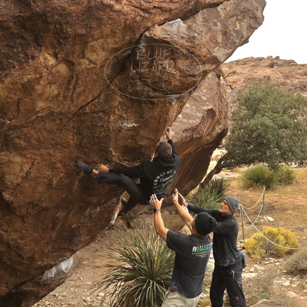 

Filename: SRM_20260101_1127190.jpg
Aperture: f/5.6
Shutter Speed: 1/500
Body: Canon EOS R6
Lens: Canon EF 16-35mm f/2.8 L