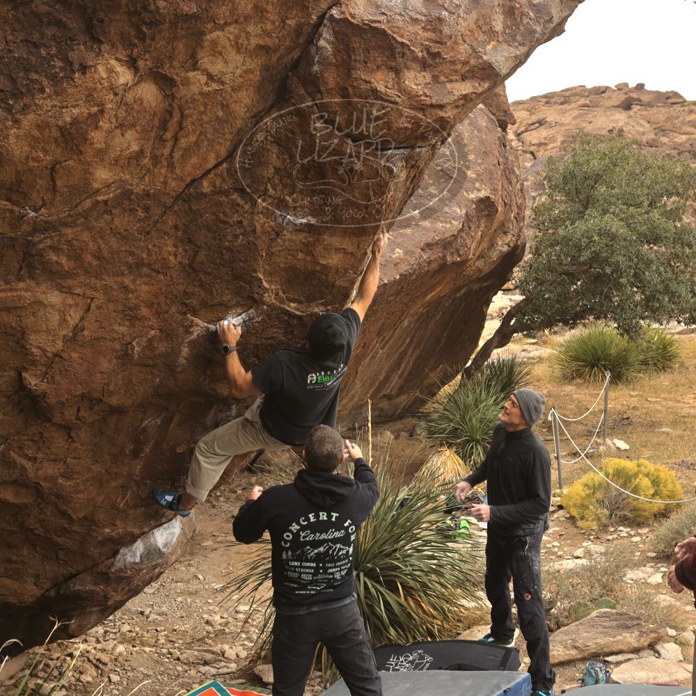 

Filename: SRM_20260101_1132250.jpg
Aperture: f/5.6
Shutter Speed: 1/500
Body: Canon EOS R6
Lens: Canon EF 16-35mm f/2.8 L