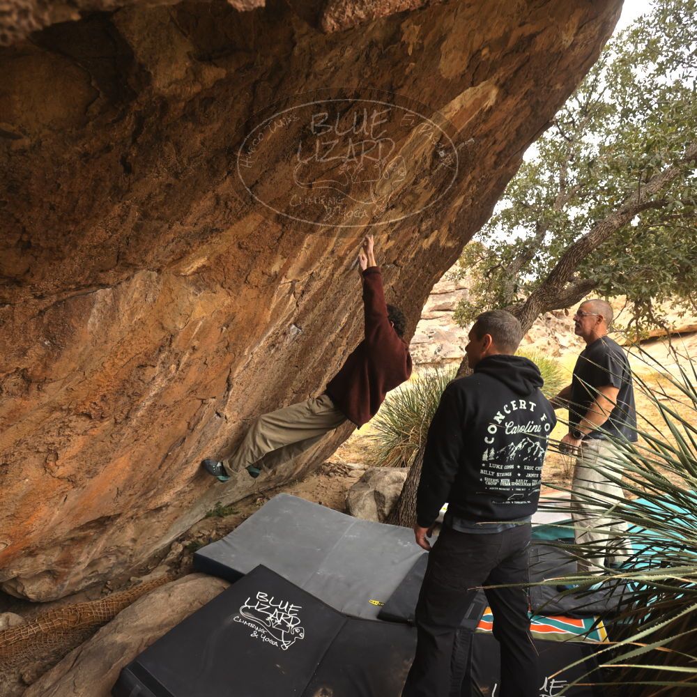 

Filename: SRM_20260101_1144320.jpg
Aperture: f/5.0
Shutter Speed: 1/500
Body: Canon EOS R6
Lens: Canon EF 16-35mm f/2.8 L