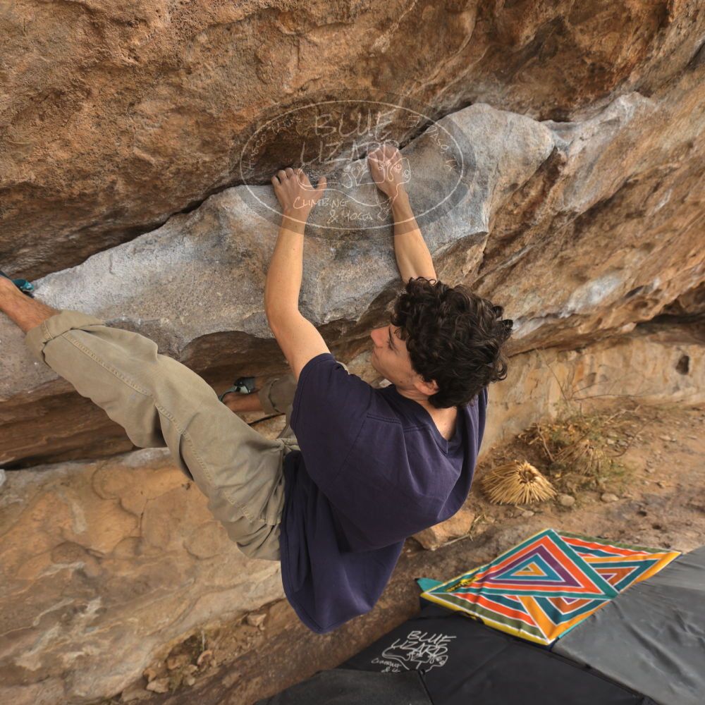 

Filename: SRM_20260101_1208090.jpg
Aperture: f/5.0
Shutter Speed: 1/500
Body: Canon EOS R6
Lens: Canon EF 16-35mm f/2.8 L