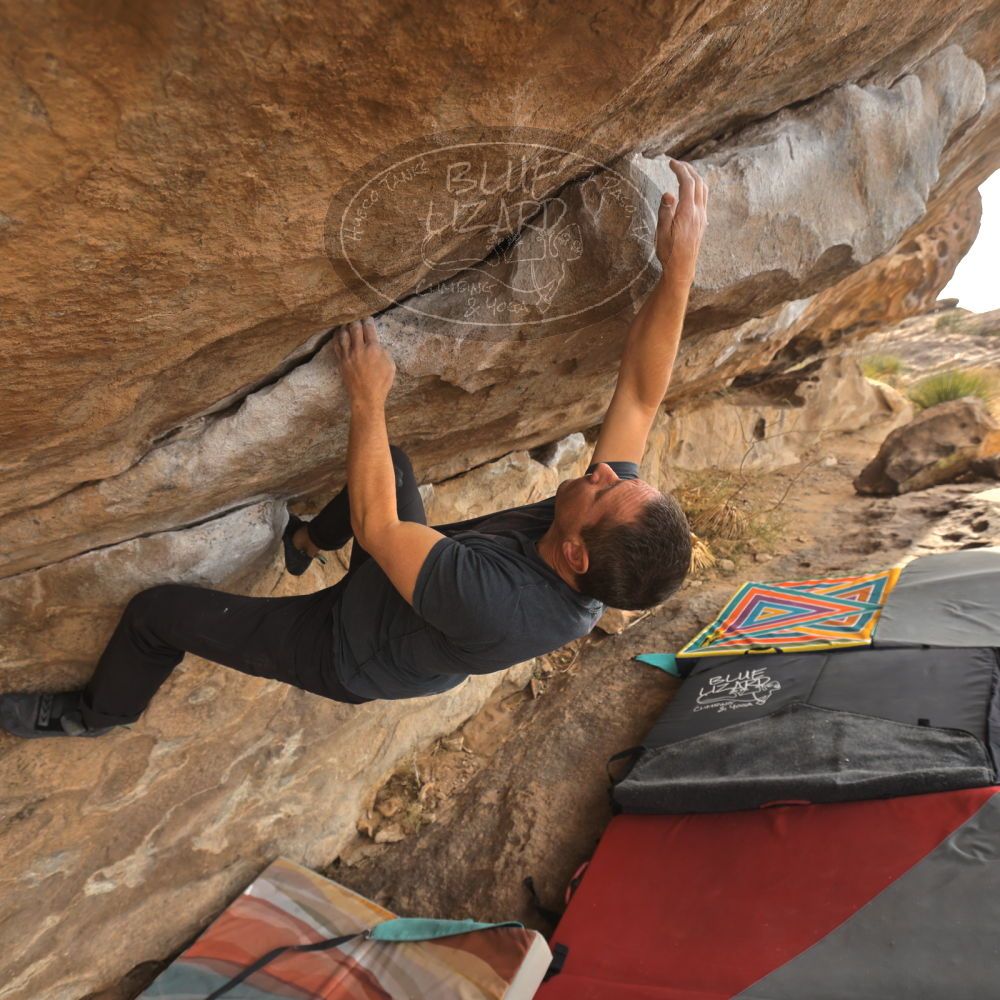 

Filename: SRM_20260101_1212180.jpg
Aperture: f/5.0
Shutter Speed: 1/500
Body: Canon EOS R6
Lens: Canon EF 16-35mm f/2.8 L