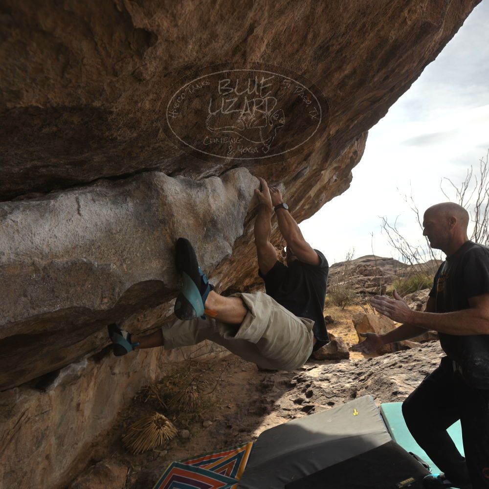 

Filename: SRM_20260101_1218560.jpg
Aperture: f/5.6
Shutter Speed: 1/800
Body: Canon EOS R6
Lens: Canon EF 16-35mm f/2.8 L