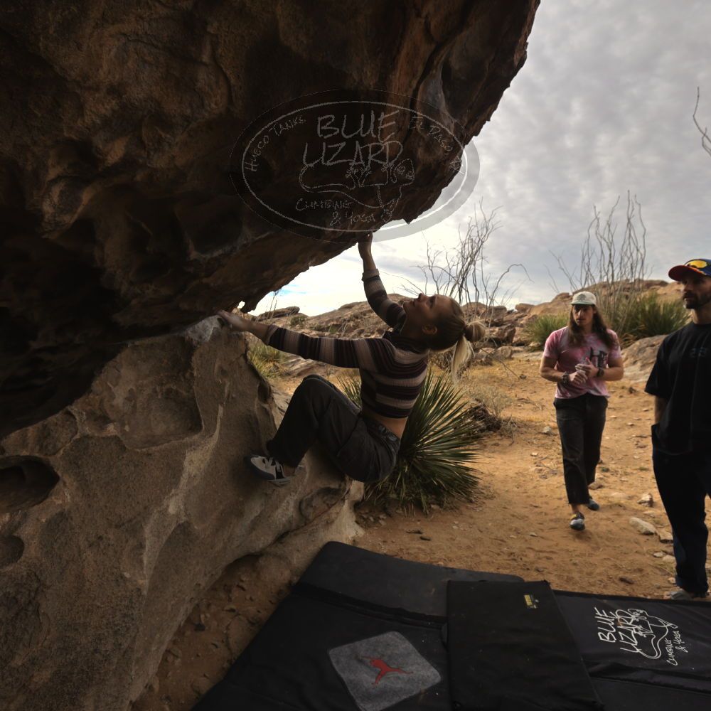 

Filename: SRM_20260104_1016210.jpg
Aperture: f/5.6
Shutter Speed: 1/500
Body: Canon EOS R6
Lens: Canon EF 16-35mm f/2.8 L