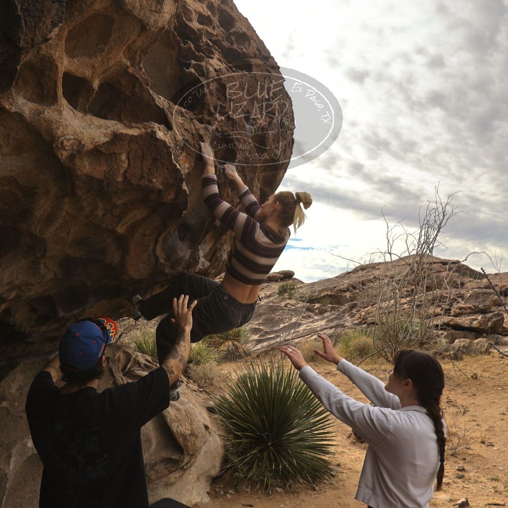 

Filename: SRM_20260104_1016400.jpg
Aperture: f/5.6
Shutter Speed: 1/500
Body: Canon EOS R6
Lens: Canon EF 16-35mm f/2.8 L