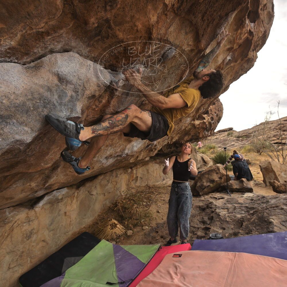 

Filename: SRM_20260104_1019320.jpg
Aperture: f/5.6
Shutter Speed: 1/500
Body: Canon EOS R6
Lens: Canon EF 16-35mm f/2.8 L