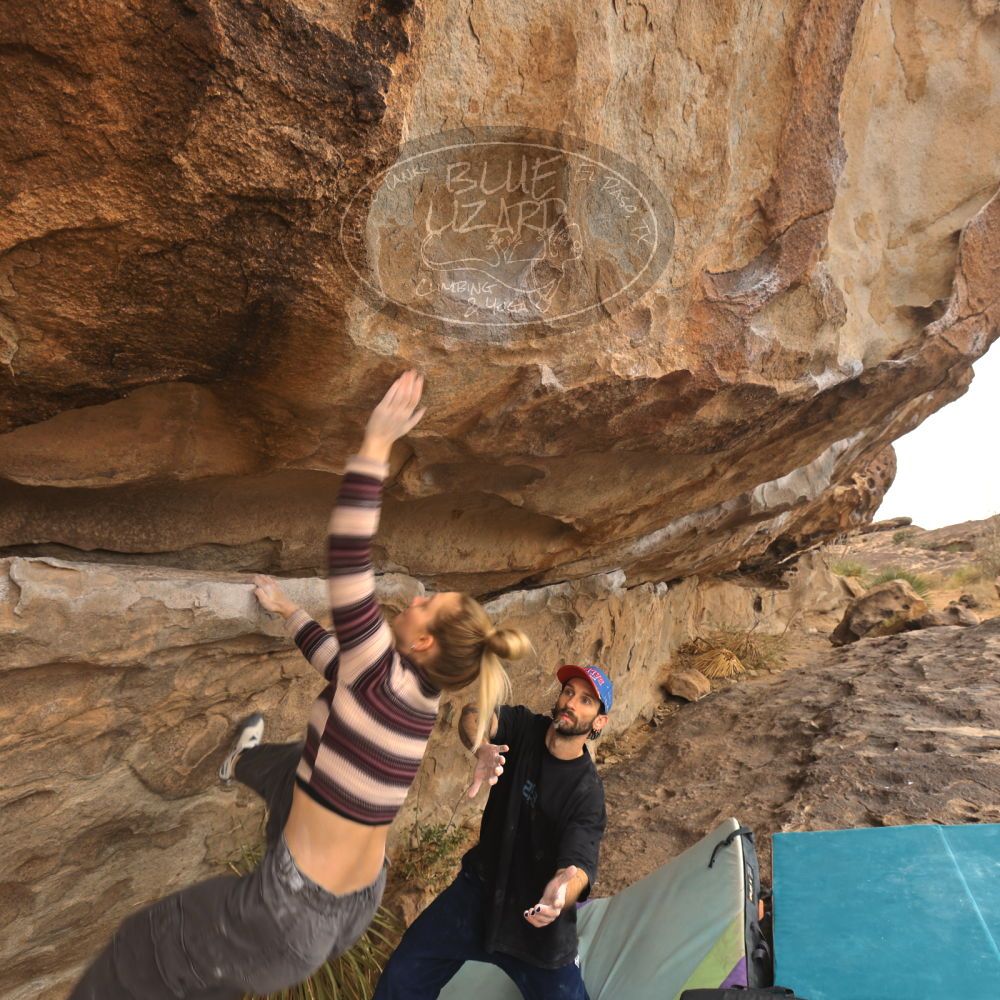 

Filename: SRM_20260104_1039420.jpg
Aperture: f/5.6
Shutter Speed: 1/125
Body: Canon EOS R6
Lens: Canon EF 16-35mm f/2.8 L