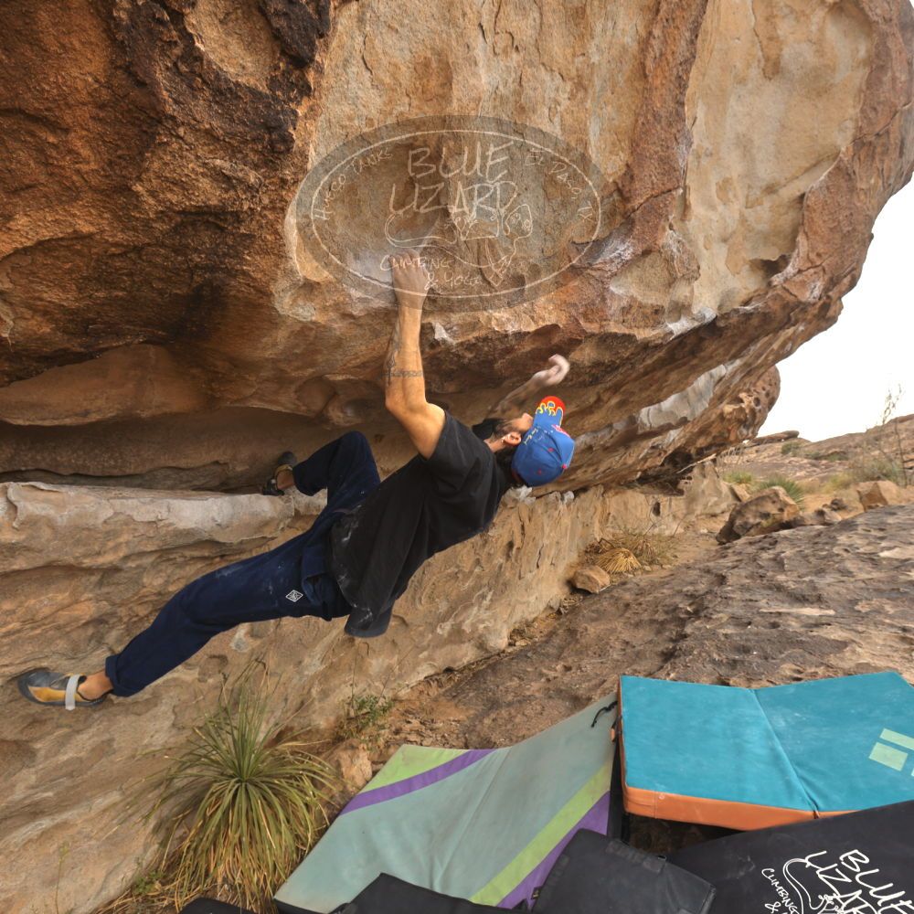 

Filename: SRM_20260104_1052530.jpg
Aperture: f/5.6
Shutter Speed: 1/125
Body: Canon EOS R6
Lens: Canon EF 16-35mm f/2.8 L