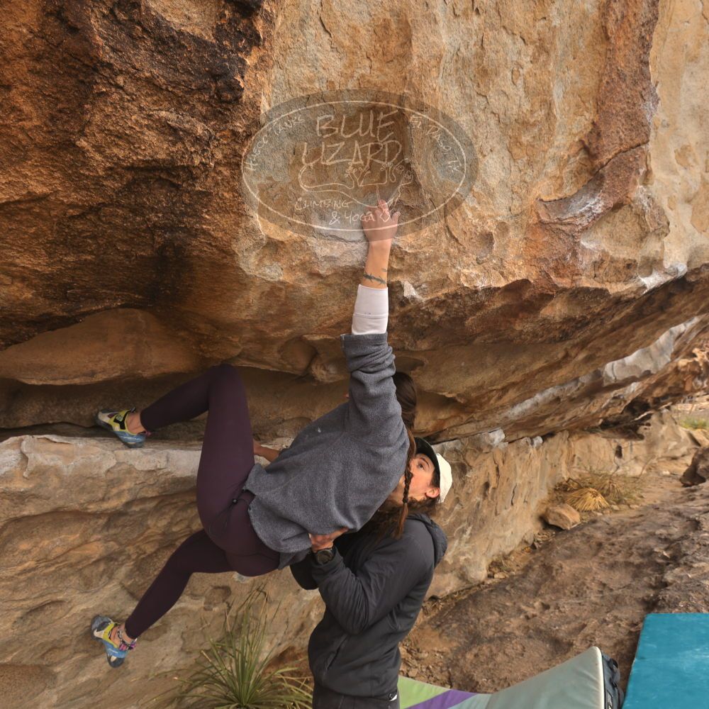 

Filename: SRM_20260104_1054520.jpg
Aperture: f/5.6
Shutter Speed: 1/125
Body: Canon EOS R6
Lens: Canon EF 16-35mm f/2.8 L