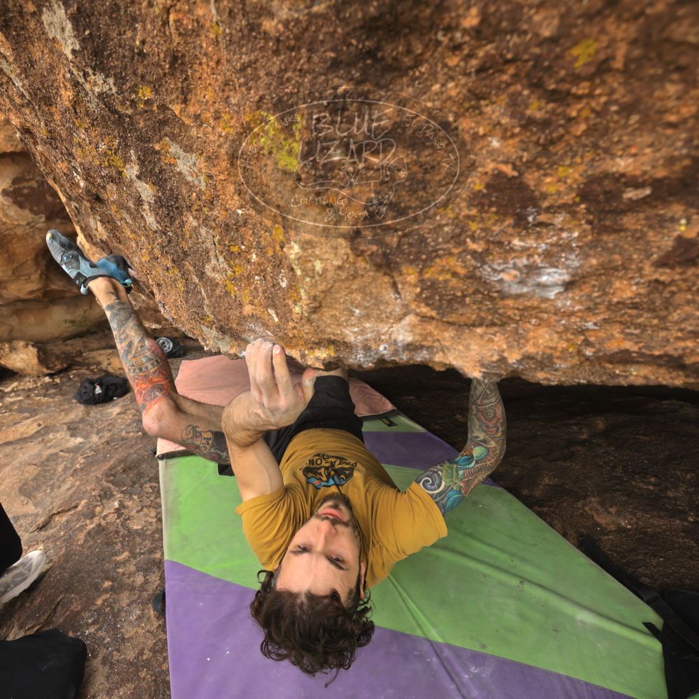 

Filename: SRM_20260104_1101190.jpg
Aperture: f/5.6
Shutter Speed: 1/125
Body: Canon EOS R6
Lens: Canon EF 16-35mm f/2.8 L