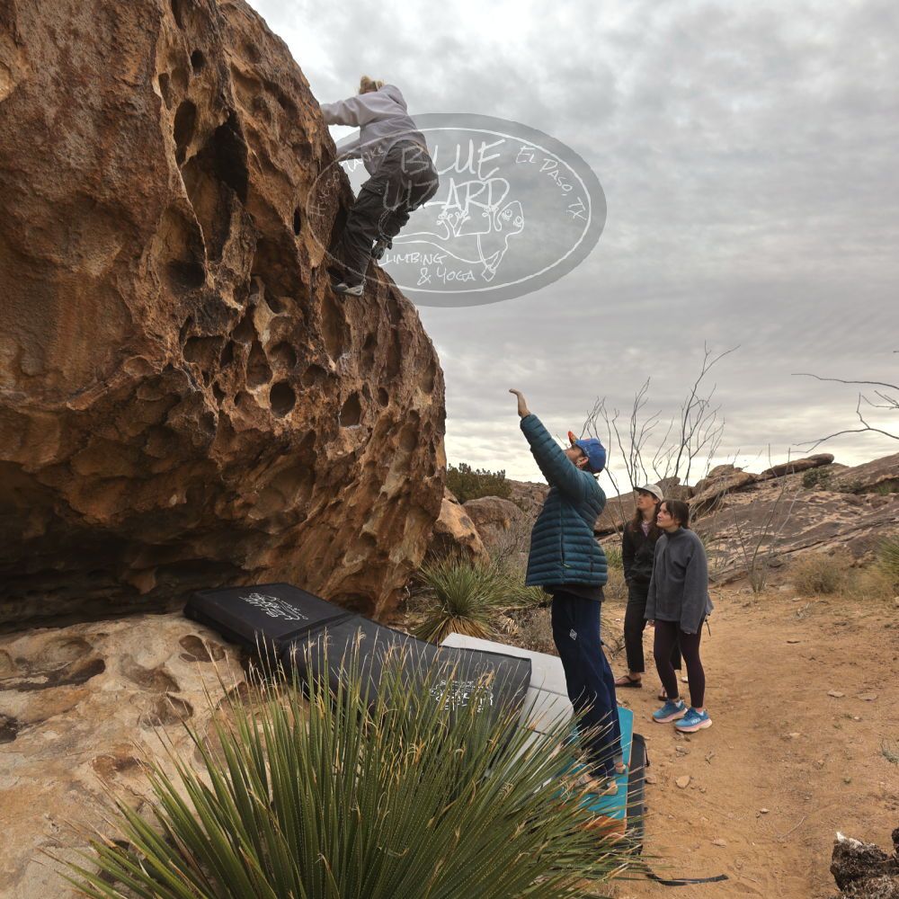 

Filename: SRM_20260104_1115340.jpg
Aperture: f/5.6
Shutter Speed: 1/320
Body: Canon EOS R6
Lens: Canon EF 16-35mm f/2.8 L