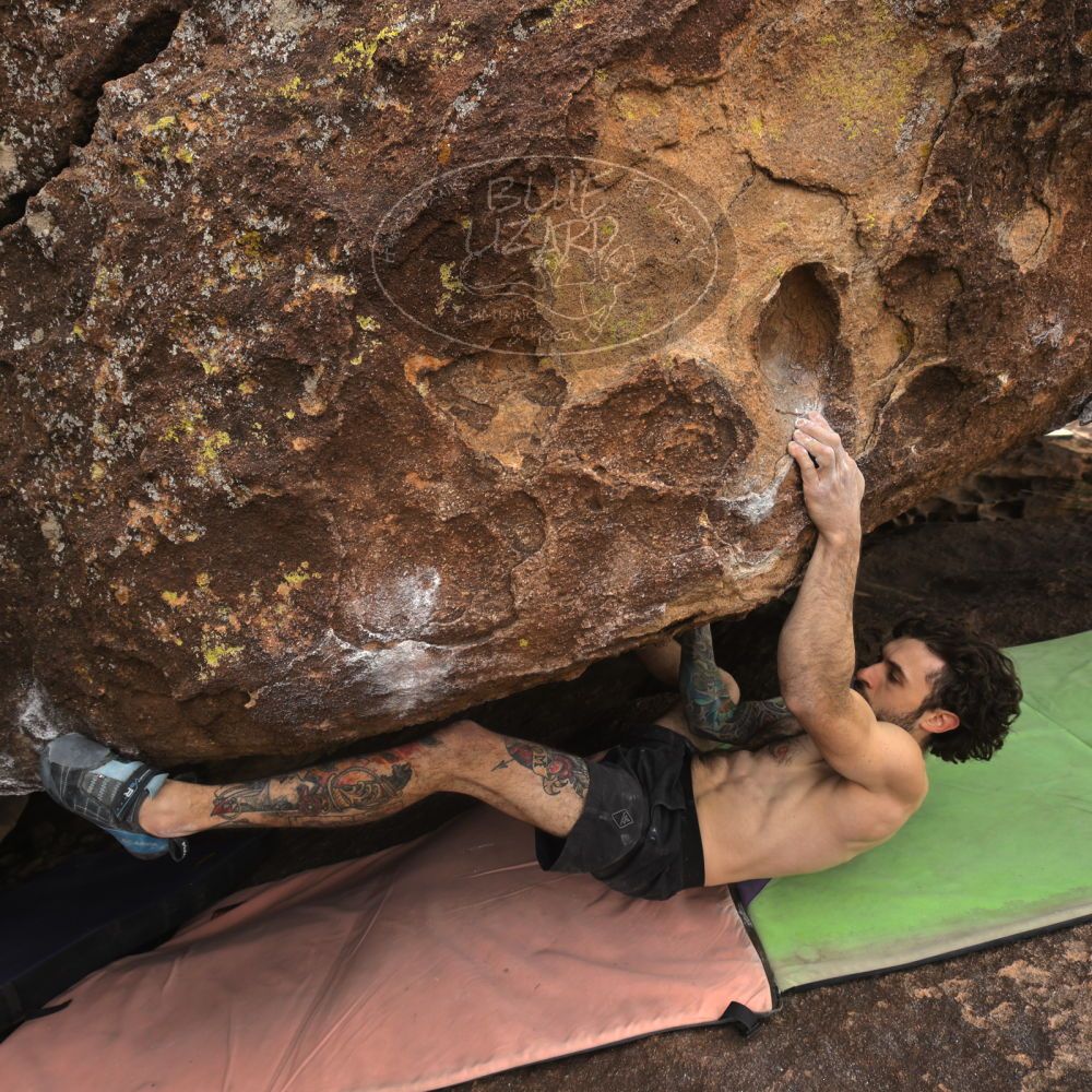 

Filename: SRM_20260104_1126270.jpg
Aperture: f/5.6
Shutter Speed: 1/320
Body: Canon EOS R6
Lens: Canon EF 16-35mm f/2.8 L