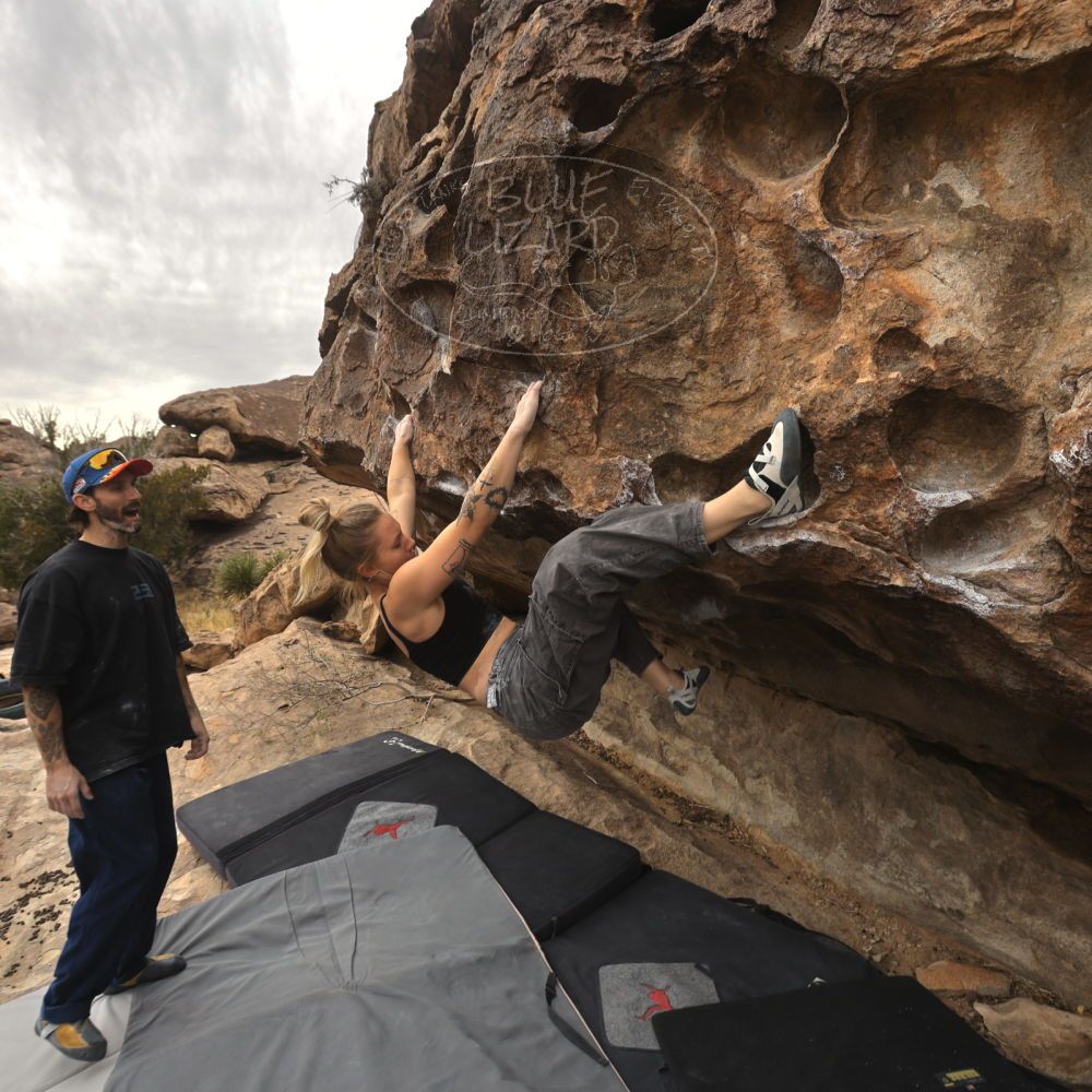 

Filename: SRM_20260104_1214270.jpg
Aperture: f/5.6
Shutter Speed: 1/500
Body: Canon EOS R6
Lens: Canon EF 16-35mm f/2.8 L