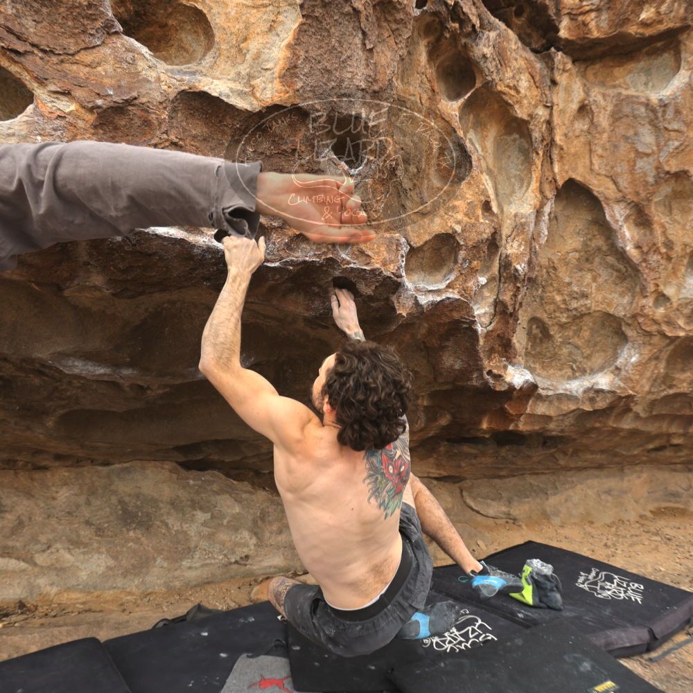 

Filename: SRM_20260104_1222461.jpg
Aperture: f/5.6
Shutter Speed: 1/500
Body: Canon EOS R6
Lens: Canon EF 16-35mm f/2.8 L