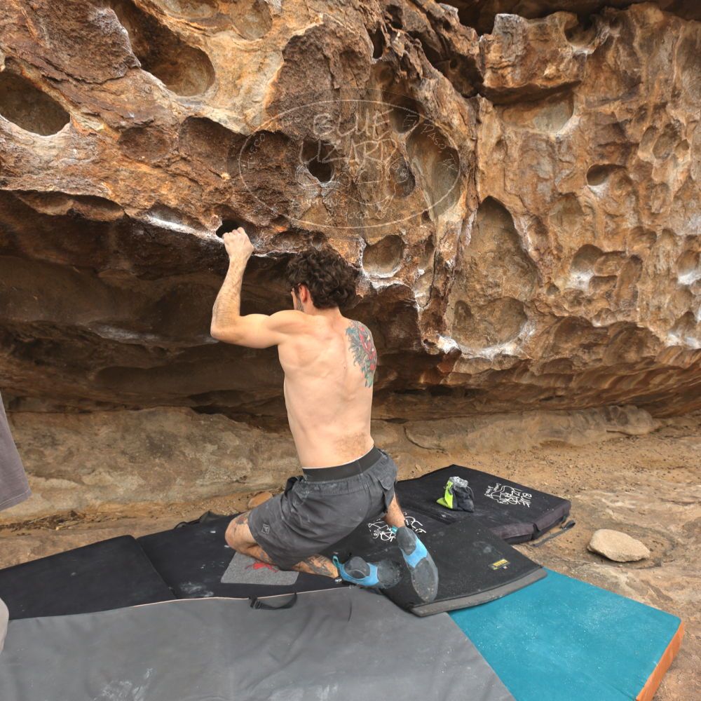 

Filename: SRM_20260104_1222463.jpg
Aperture: f/5.6
Shutter Speed: 1/500
Body: Canon EOS R6
Lens: Canon EF 16-35mm f/2.8 L