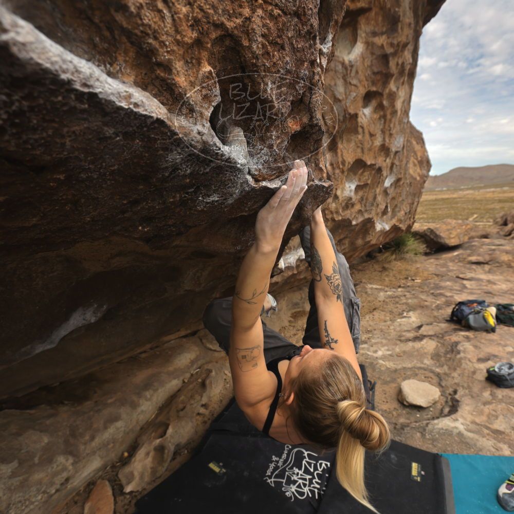 

Filename: SRM_20260104_1225540.jpg
Aperture: f/5.6
Shutter Speed: 1/500
Body: Canon EOS R6
Lens: Canon EF 16-35mm f/2.8 L