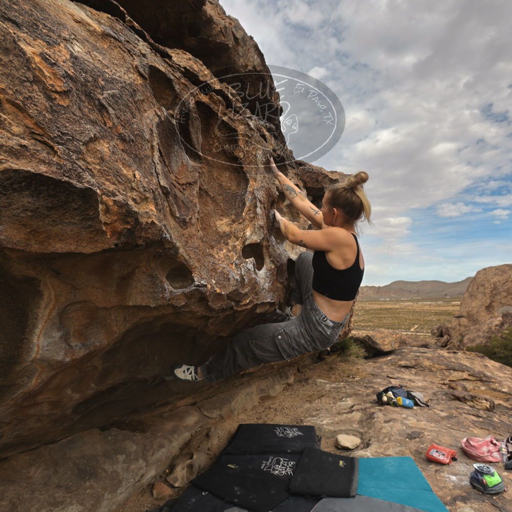 

Filename: SRM_20260104_1239490.jpg
Aperture: f/5.6
Shutter Speed: 1/500
Body: Canon EOS R6
Lens: Canon EF 16-35mm f/2.8 L