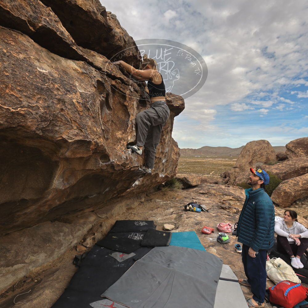 

Filename: SRM_20260104_1239550.jpg
Aperture: f/5.6
Shutter Speed: 1/500
Body: Canon EOS R6
Lens: Canon EF 16-35mm f/2.8 L