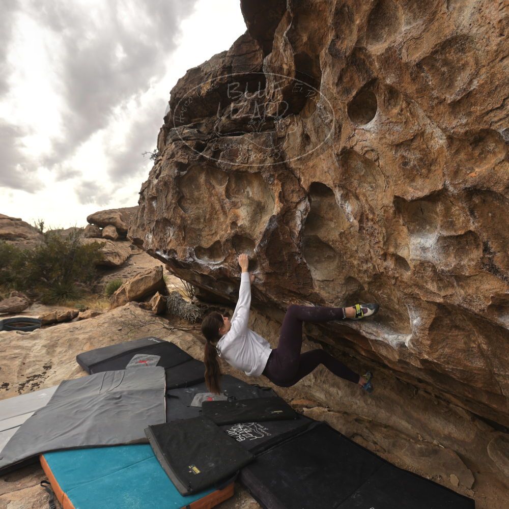 

Filename: SRM_20260104_1244520.jpg
Aperture: f/5.6
Shutter Speed: 1/500
Body: Canon EOS R6
Lens: Canon EF 16-35mm f/2.8 L