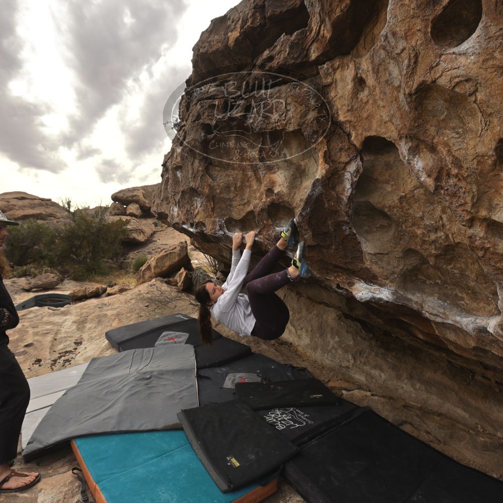 

Filename: SRM_20260104_1245060.jpg
Aperture: f/5.6
Shutter Speed: 1/500
Body: Canon EOS R6
Lens: Canon EF 16-35mm f/2.8 L